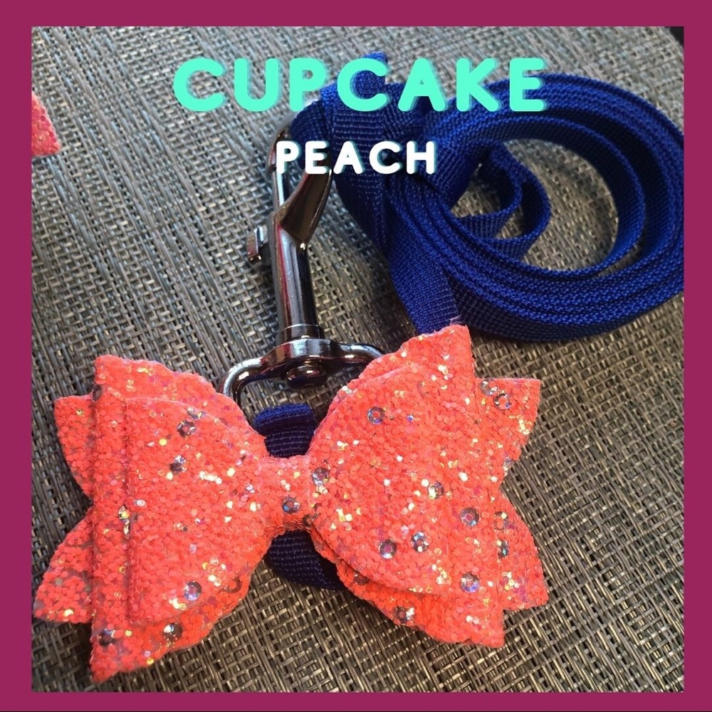 #14 Dog Leash and Detachable Bow Set in Sparkles🐾